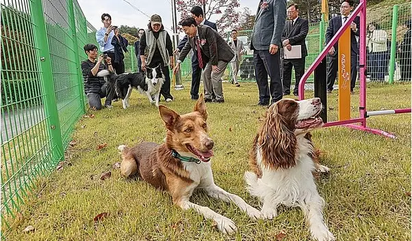 "파격적 제도 개선, 농산업 현장 체감 탄력"…농식품부, 규제혁신 속도전